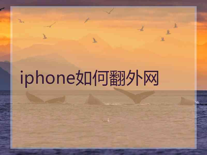 iphone如何翻外网