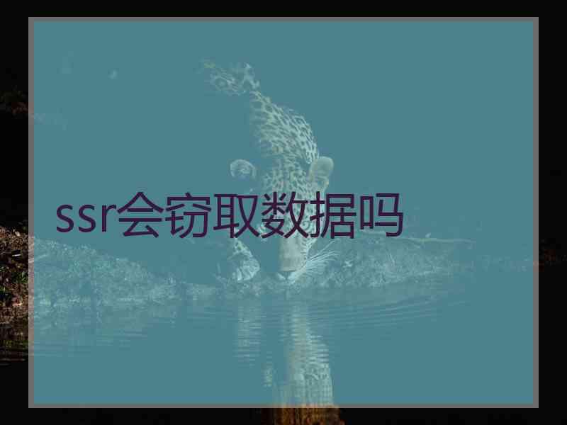 ssr会窃取数据吗