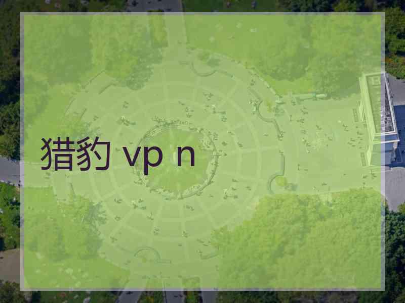 猎豹 vp n