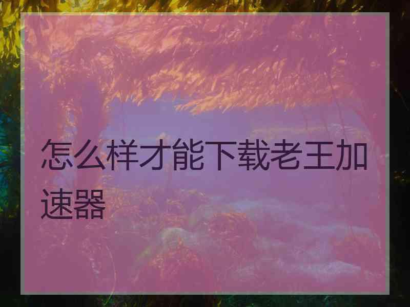 怎么样才能下载老王加速器